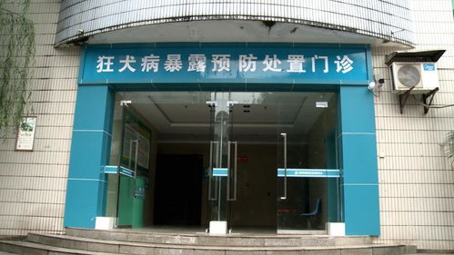 狂犬病 為何發(fā)病后致死率高達(dá)99.9%，每年5.5萬人死亡的警示